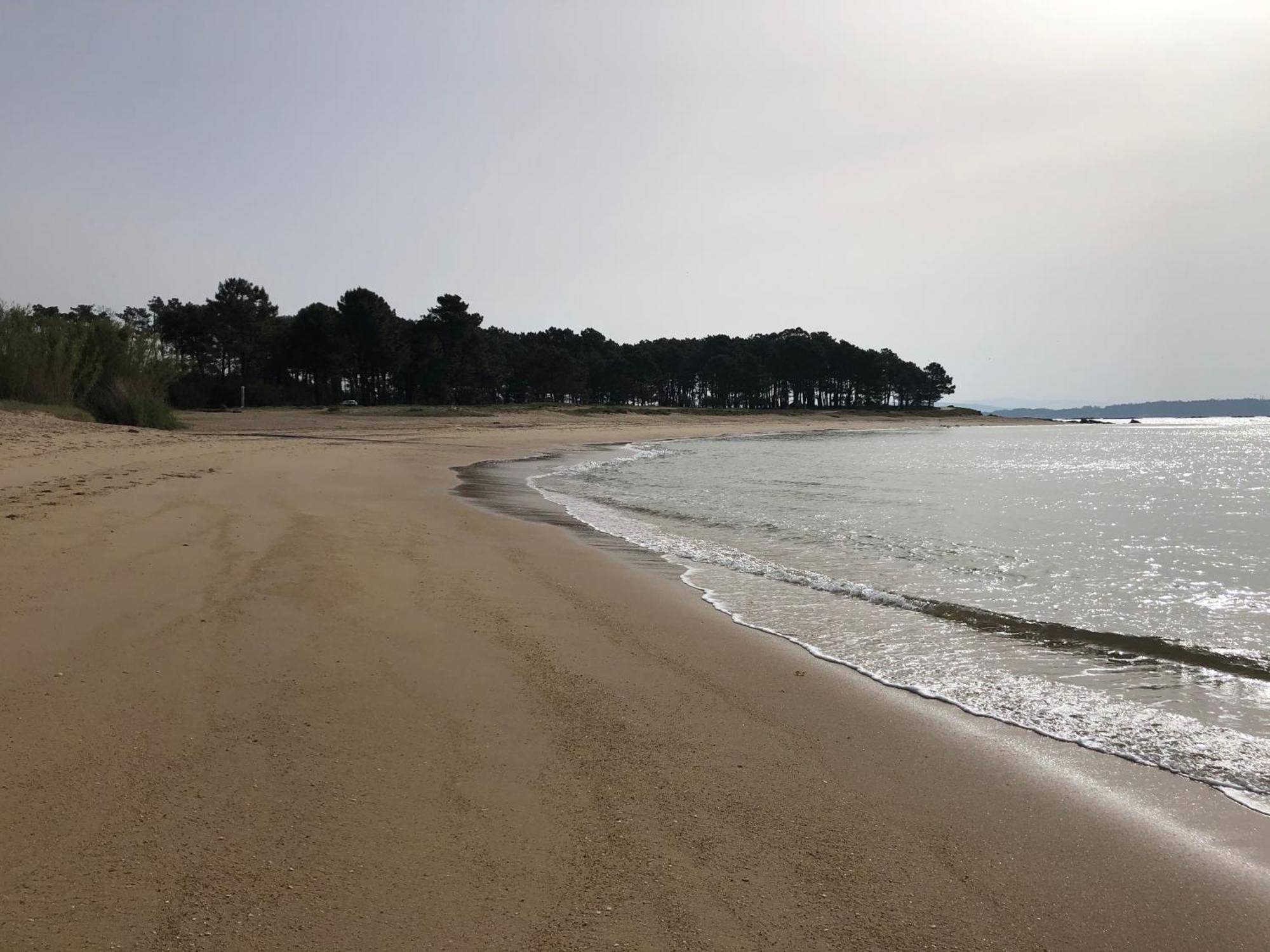 Apartamento Playa Da Corna Palmeira Zewnętrze zdjęcie